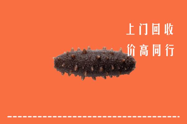 高价求购：大新县回收海参