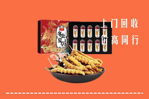 大新县回收虫草